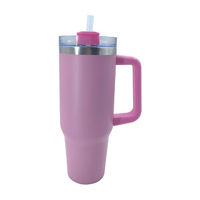Double Wall Stainless Steel Tumbler, Pink, 17 oz