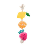 Fruit Rope Dog Toy