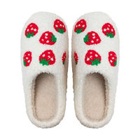 Novelty Slippers, Assorted