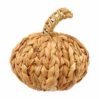 Hyacinth Pumpkin, 8 in