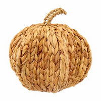 Hyacinth Pumpkin, 13 in