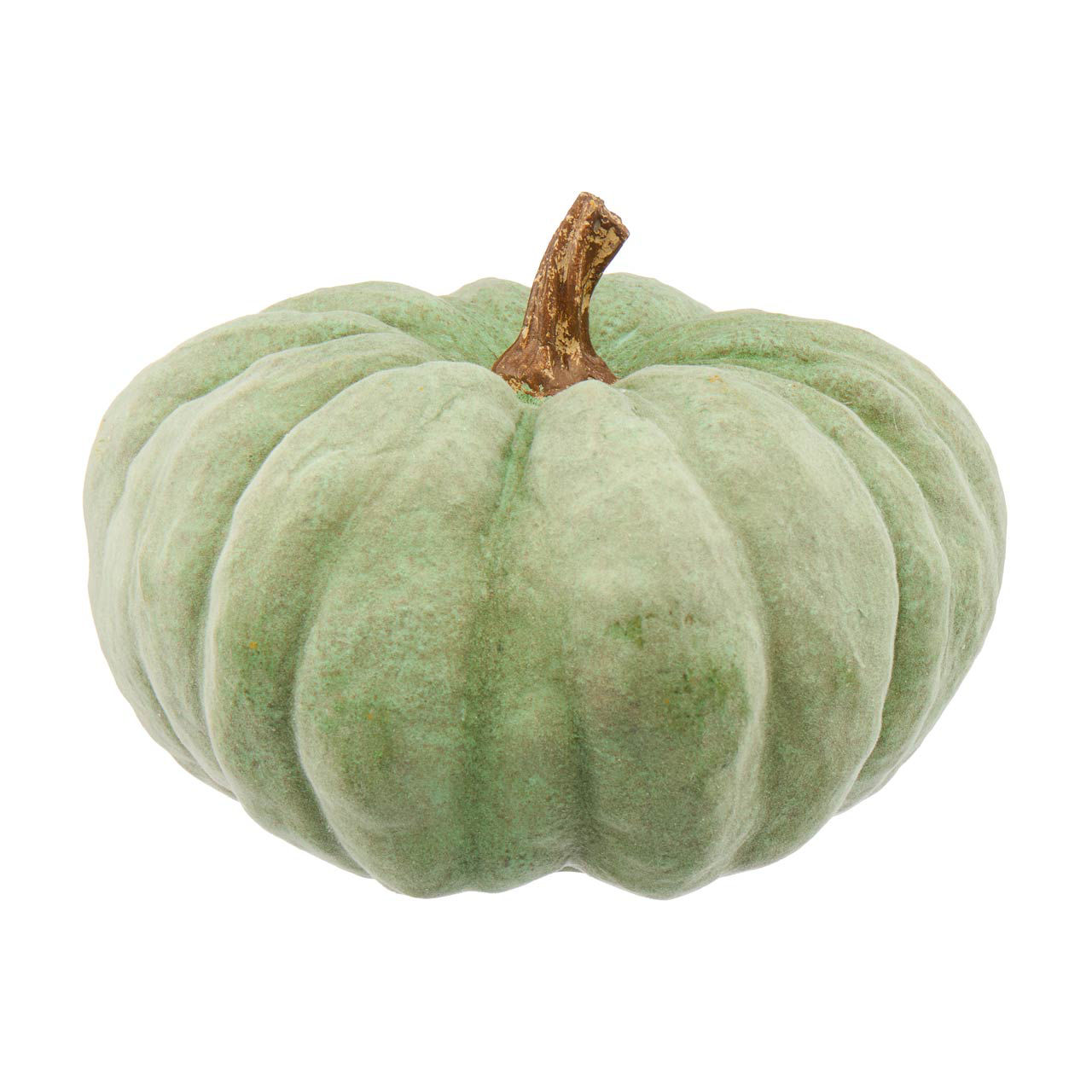 Green Pumpkin, 8 in