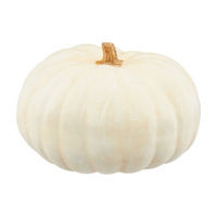 White Pumpkin, 10 in