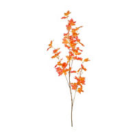 Maple Leaf Arrangement, 41 in