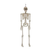 Halloween Posable Skeleton Décor, 36 in
