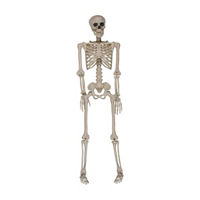 Halloween Posable Skeleton, 60 in