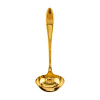 Delia Mirror Gold Ladle