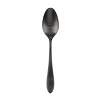 Delia Satin Serving Spoon