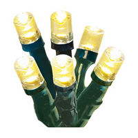 Holiday Style 50 LED Solar Lights, Assorted