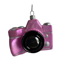 Camera Glass Christmas Ornament