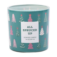 Scented Glass Candle, All Spruced Up, 14 oz