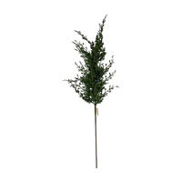 Cypress Decorative Stem, 36 in