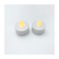 Holiday Style LED Tealights, 2 ct