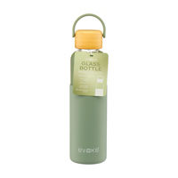 Evoke Glass Bottle with Lid, 18 oz, Assorted