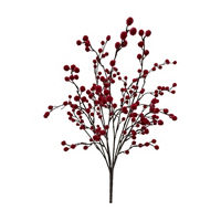 Mini Pom Bush, 20 in, Assorted