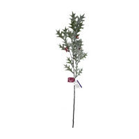Glitter Mistletoes Stem, 34 in