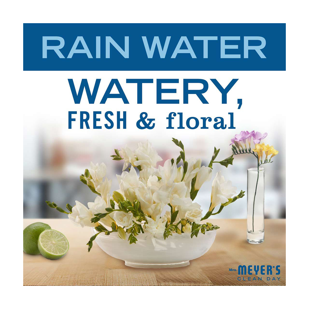 Mrs. Meyer's Clean Day Dryer Sheets, Rain Water Scent, 80 Count