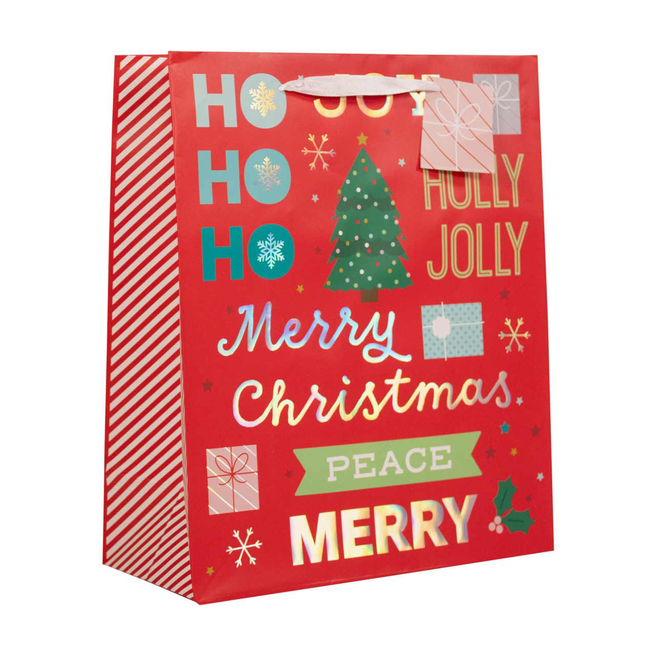 Christmas Gift Bag, Large, Assorted