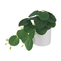 Artificial Ceramic Plant Décor, Assorted