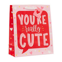 Valentine's Day Red & Pink You're Really Cute Large Gift Bag