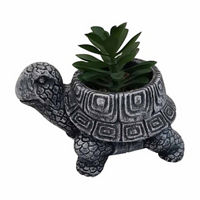 Turtle Succulent Planter