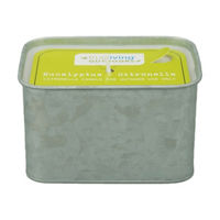 Eucalyptus & Citronella Scented Rectangular Candle, 13 oz