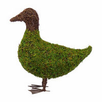 Garden Mossy Duck