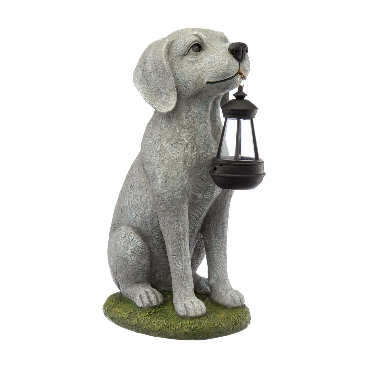 Dog Light Up Lantern