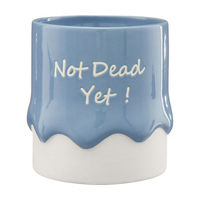 Colorful Drip Ceramic Whimsical Sentiments Planter, 2 Assorted Phrases