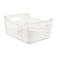 Clear Plastic Storage Bin, Large
