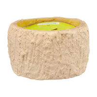 Trueliving Outdoors Ceramic Mix Citronella Candle