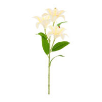 White Lily Stem