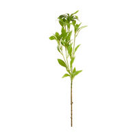 Greenery Leaf Stem