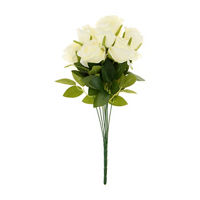 White Rose Bush