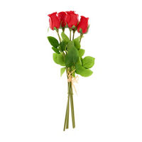 Red Rose Bush