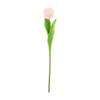 Pink Tulip Stem