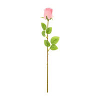 Pink Rose Stem