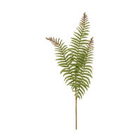 Greenery Fern Stem