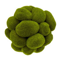 Moss Ball, 5.5 in