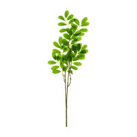Greenery Ruscus Stem
