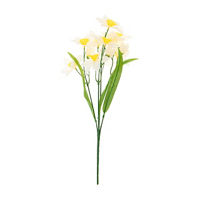 White Daffodil Pick