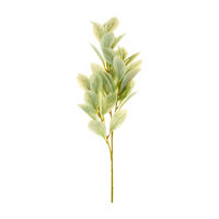 Green Ficus Stem