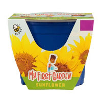 Buzzy Seeds My First Garden Kit, Assorted Plants