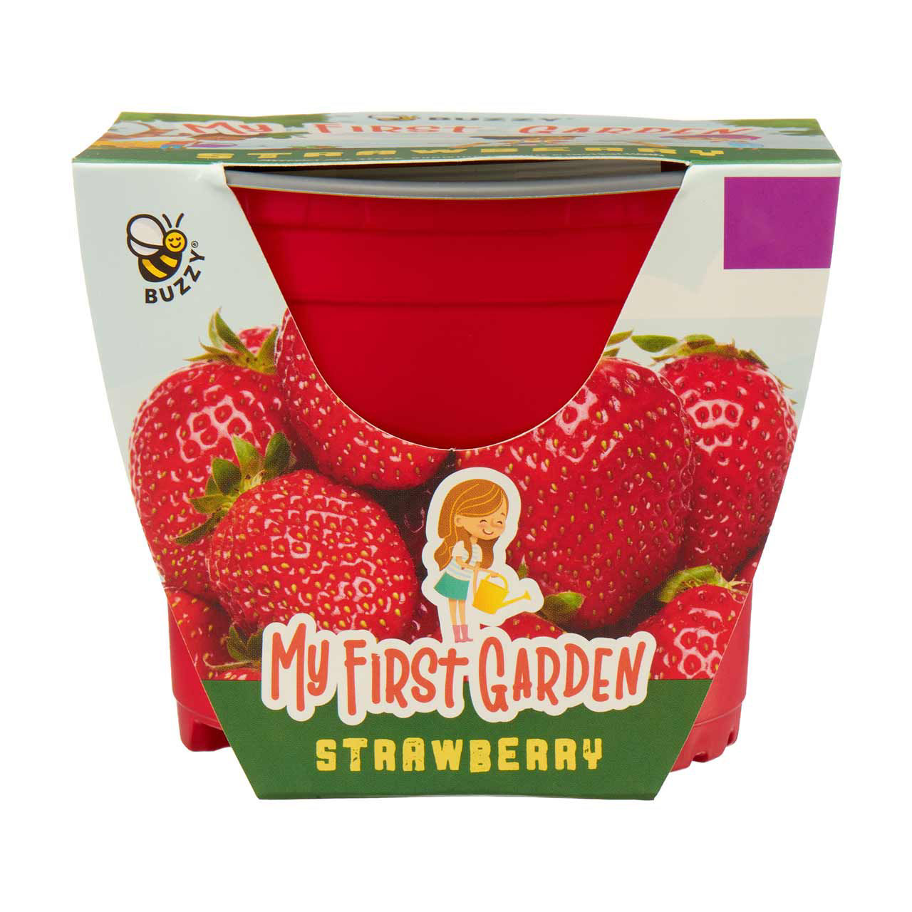 Buzzy Seeds My First Garden Kit, Assorted Plants