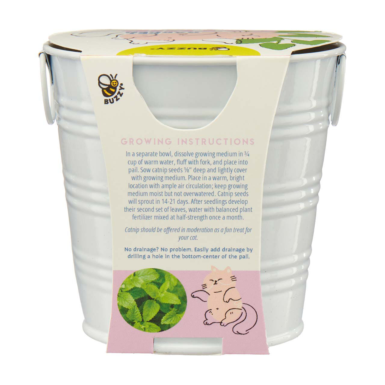 Buzzy Pet Garden Catnip Grow Kit