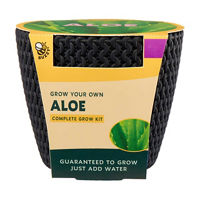 Buzzy Complete Grow Kit, Assorted Plants