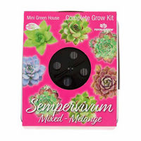 Totalgreen Sempervivum Mixed Mini Green House Complete Grow Kit