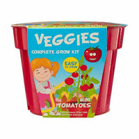 Veggies Complete Grow Kit, Mini Tomatoes