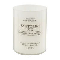 Scented Soy Candle, Santorini Fig, 14 oz