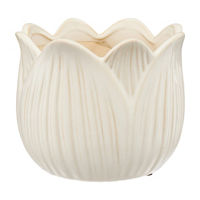 Off‑White Bliss Ceramic Garden Planter, Small